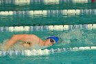 Swimming vs Bentley  Wheaton College Swimming & Diving vs Bentley College. - Photo by Keith Nordstrom : Wheaton, Swimming & Diving